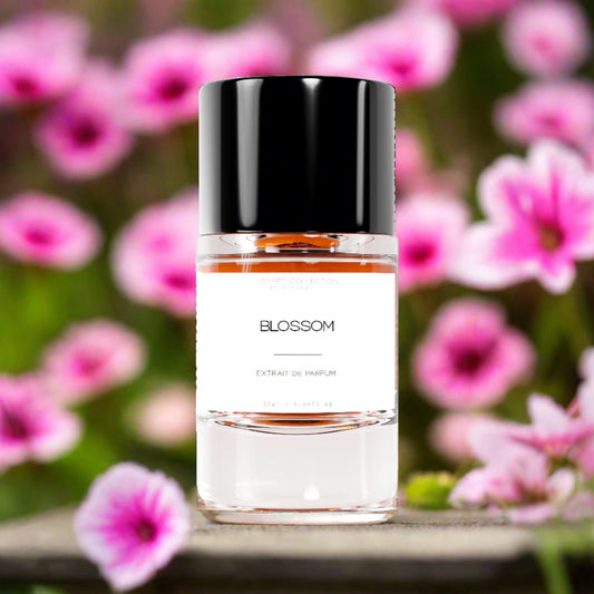 Blossom - Repliques